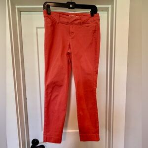 Coral Slim Fit Pants